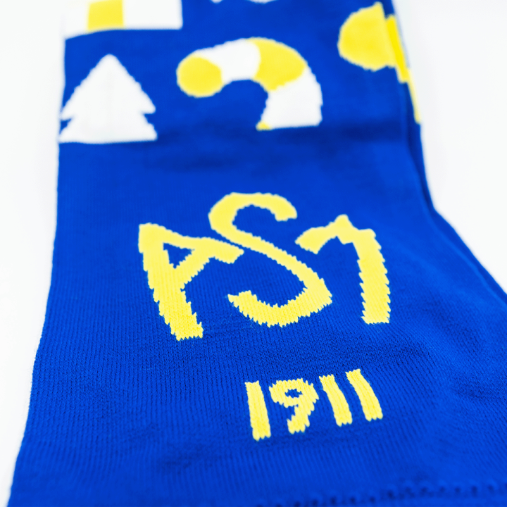 Echarpe de Noël 2025